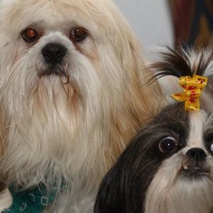 Meet your Posher, Cathy